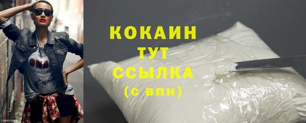 ешки Белокуриха