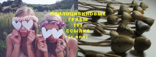 гидропоника Беломорск